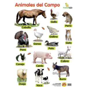 LAMINAS ANIMALES DE GRANJA Y SALVAJES